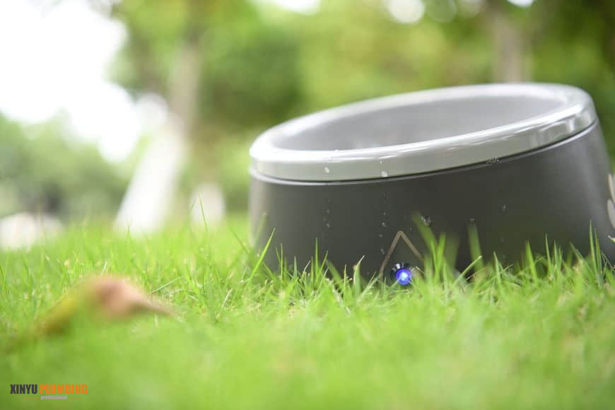 cuenco para mascotas 1