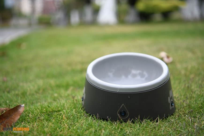 cuenco para mascotas 6