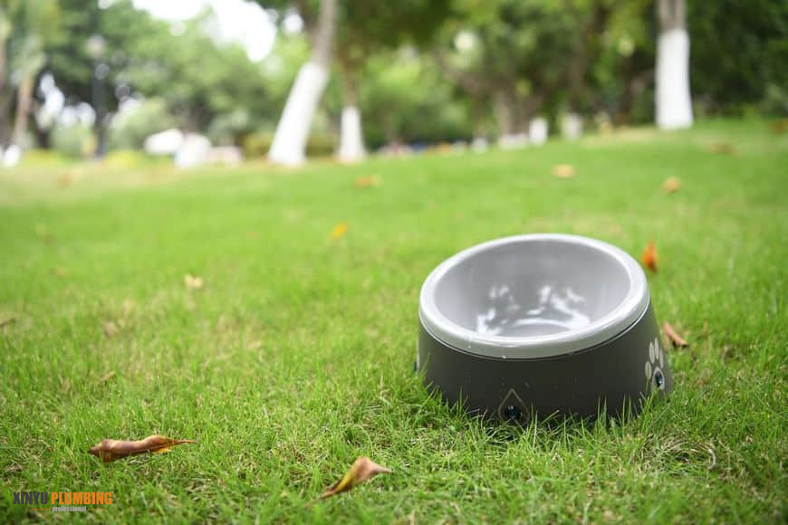 cuenco para mascotas 2