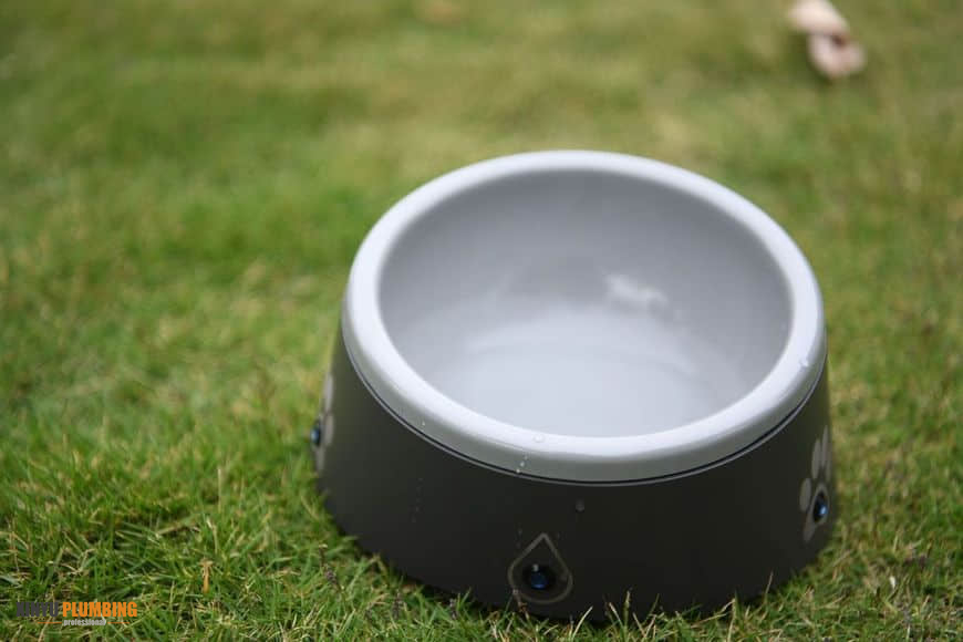 cuenco para mascotas 5