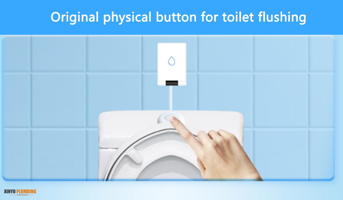 Bot&oacute;n f&iacute;sico para descargar el inodoro.